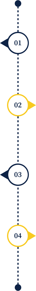 Career path timeline